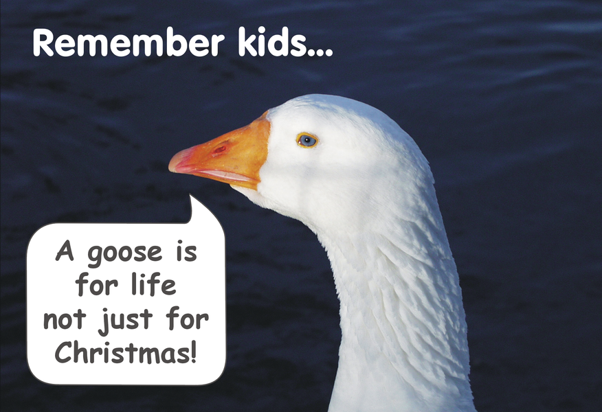 A goose is for life, not just for Christmas, 2003 card.